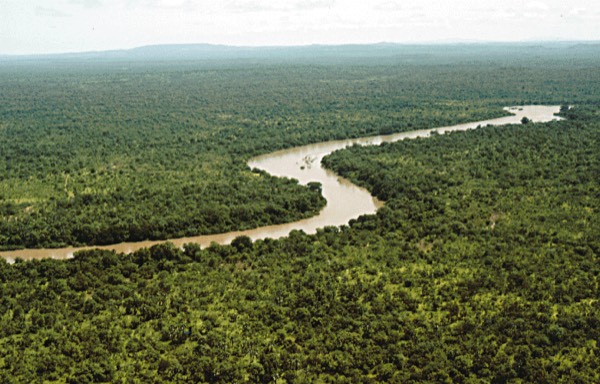 Niokolo-Koba National Park